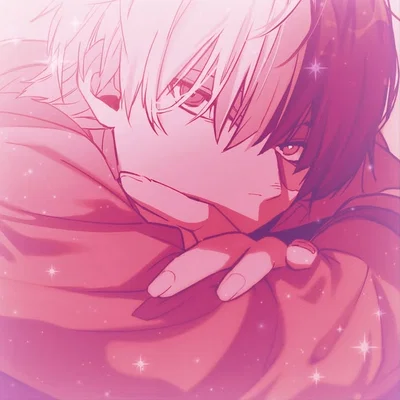 Shoto Todoroki 