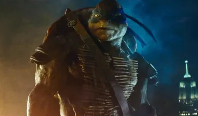 Leonardo Hamato | Bayverse 