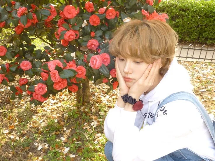 Ahn Seongmin