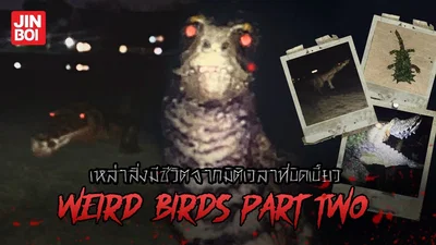 Weird Birds Part 2 
