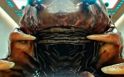 Mantraps, The silent "killers" of your home.