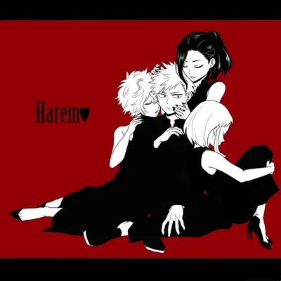 MHA- Wives Harem