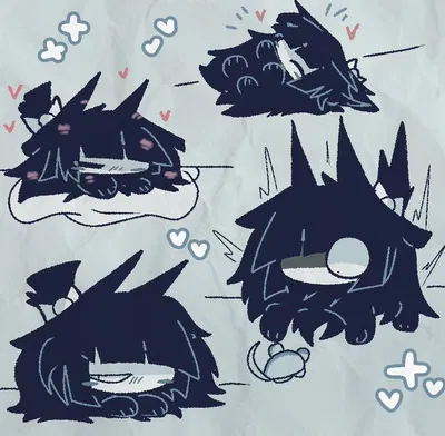 Your small cat