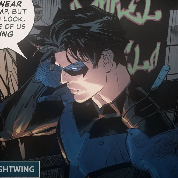   Grayson || Nightwing 