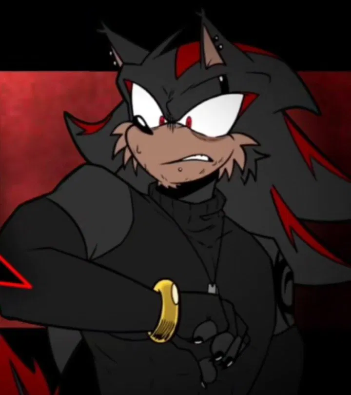 Shadow the hedgehog | stepfather