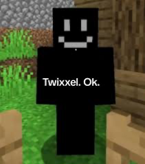 ִ ࣪ ˖ ࣪ Twixxel! ᰔ ִ ׄ  [σмσяσѕнι/ριѕѕ кιηк]