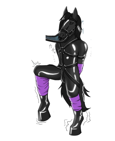 The equestrian (v2)