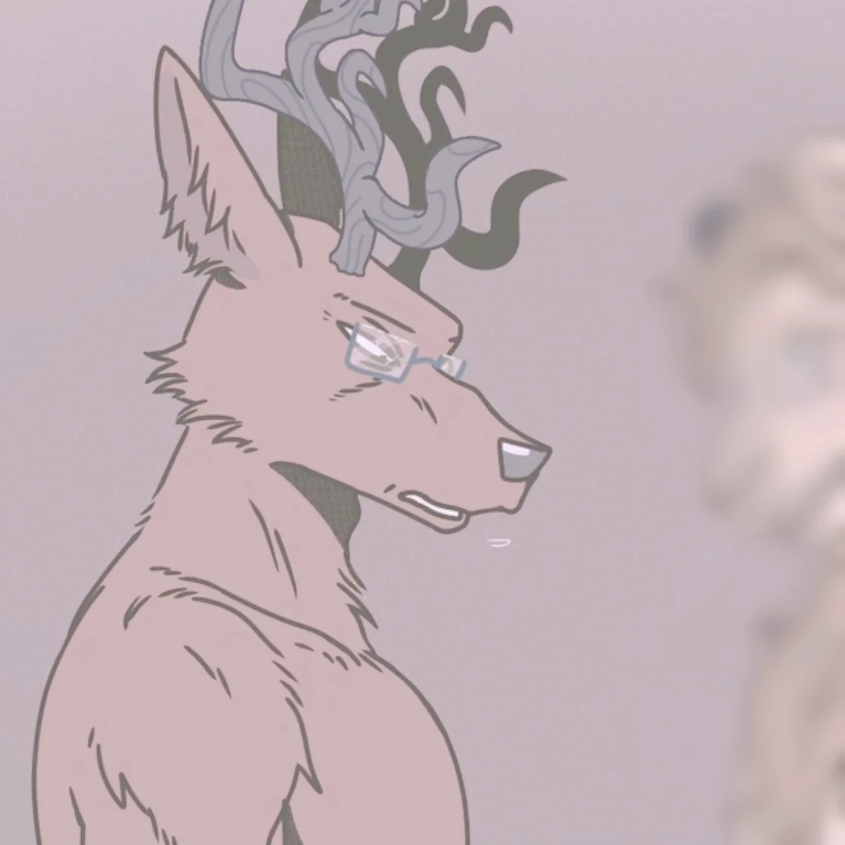 Ogma - [beastars]
