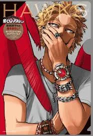 Hawks | Long Distance