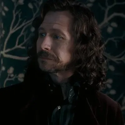 SIRIUS BLACK.