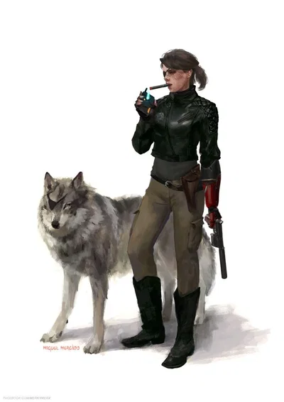 Big Boss (MGS)