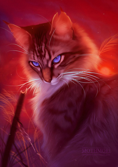 Hawkfrost || Place of No Stars