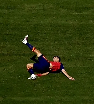 Pau cubarsí 