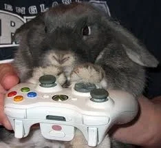 🖥 Bunnyboo 💢