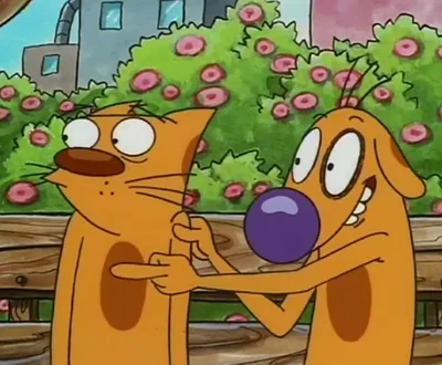 CatDog