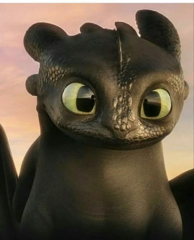 Night fury-toothless