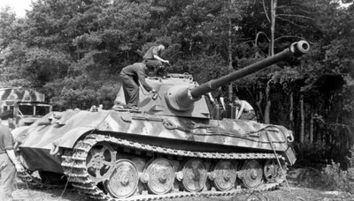 ꧁ঔৣ☬Lotta☬ঔৣ꧂ | TIGER II