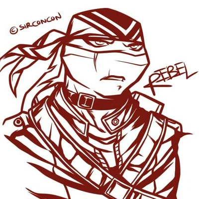 Raphael "Rebel" Hamato