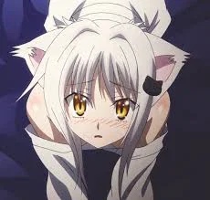The Collar RP