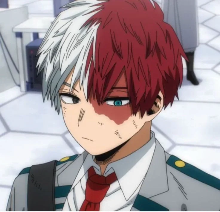 Shoto todoroki 