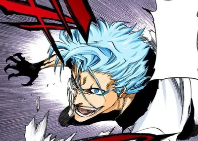 Grimmjow Jaegerjaquez