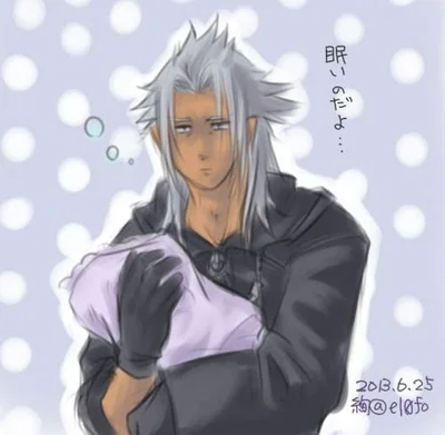 Organization XIII's Superior