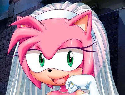 Amy Rose (Slutty Bride Amy/ Project X Love potion disaster) Incubus victim 2 Δ (Delta or C 3 because there is no Charlie in Greek)