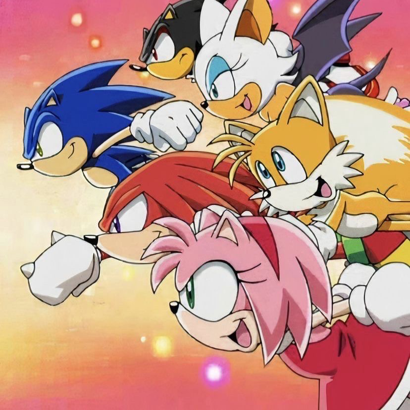 Sonic & His friends