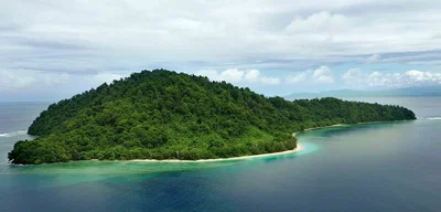 The Island