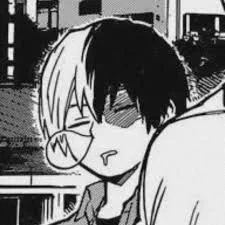 Shoto Todoroki