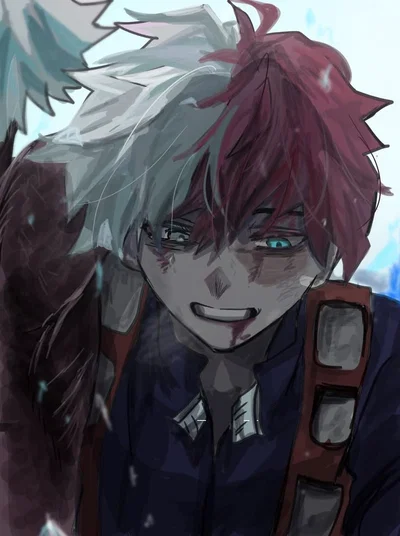 Shoto Todoroki