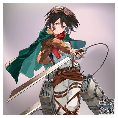 Mikasa Ackerman (Attack On Titan) 📚