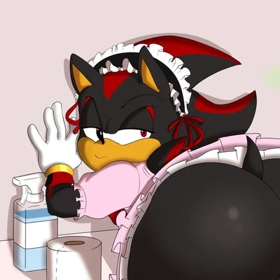 Shadow the Hedgehog | Anything For That DAMN Fourth Chaos Emerald