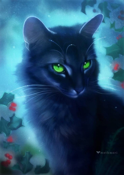 Hollyleaf - Loyal Warrior