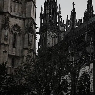 Vampire hunters 