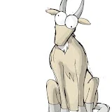 Mountain Goat to the cooch