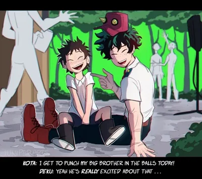 MHA: Entre cámaras y héroes