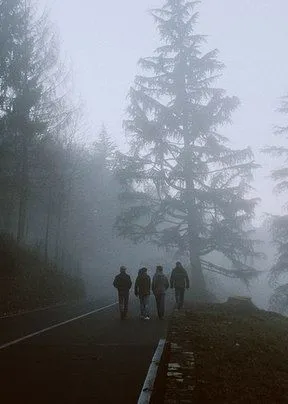 Zombie apocalypse