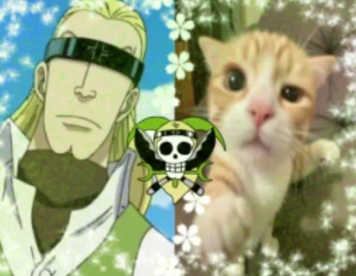 Helmeppo