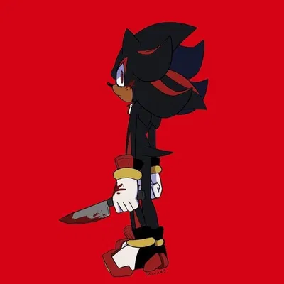 Shadow the hedgehog 
