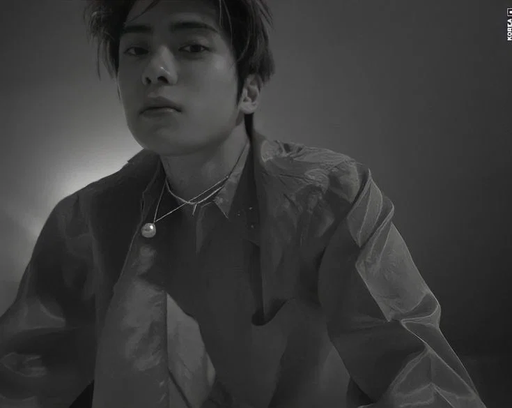 Jeong Jaehyun| The Secret Streamer   