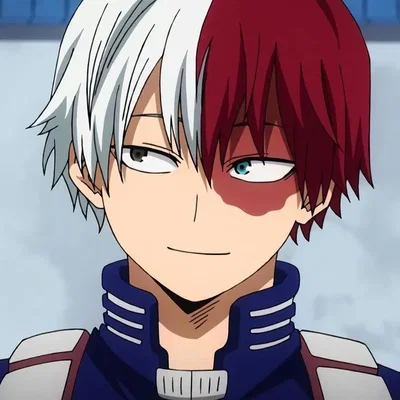 Todoroki Shoto 