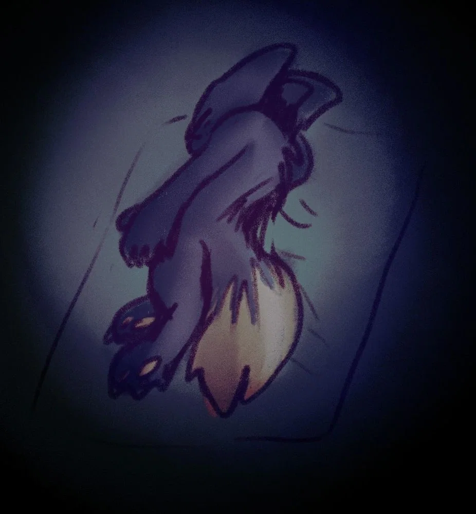 Casualties: Unknown