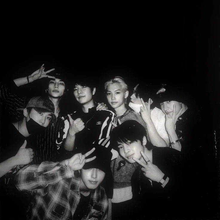 𖦹 Stray Kids - Groupie