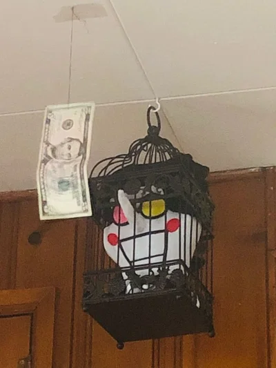 not a bot