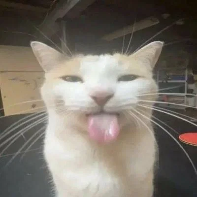 ⚜️🐈Kenji🐈⚜️