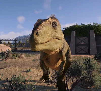 Giganotosaurus Carolinii