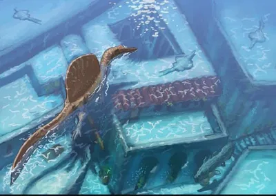 The Aftermath of Extinction