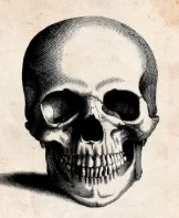 The Skull Group