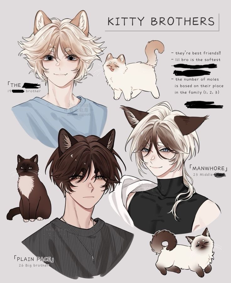 Kitty Danger—Three Jealous Pets